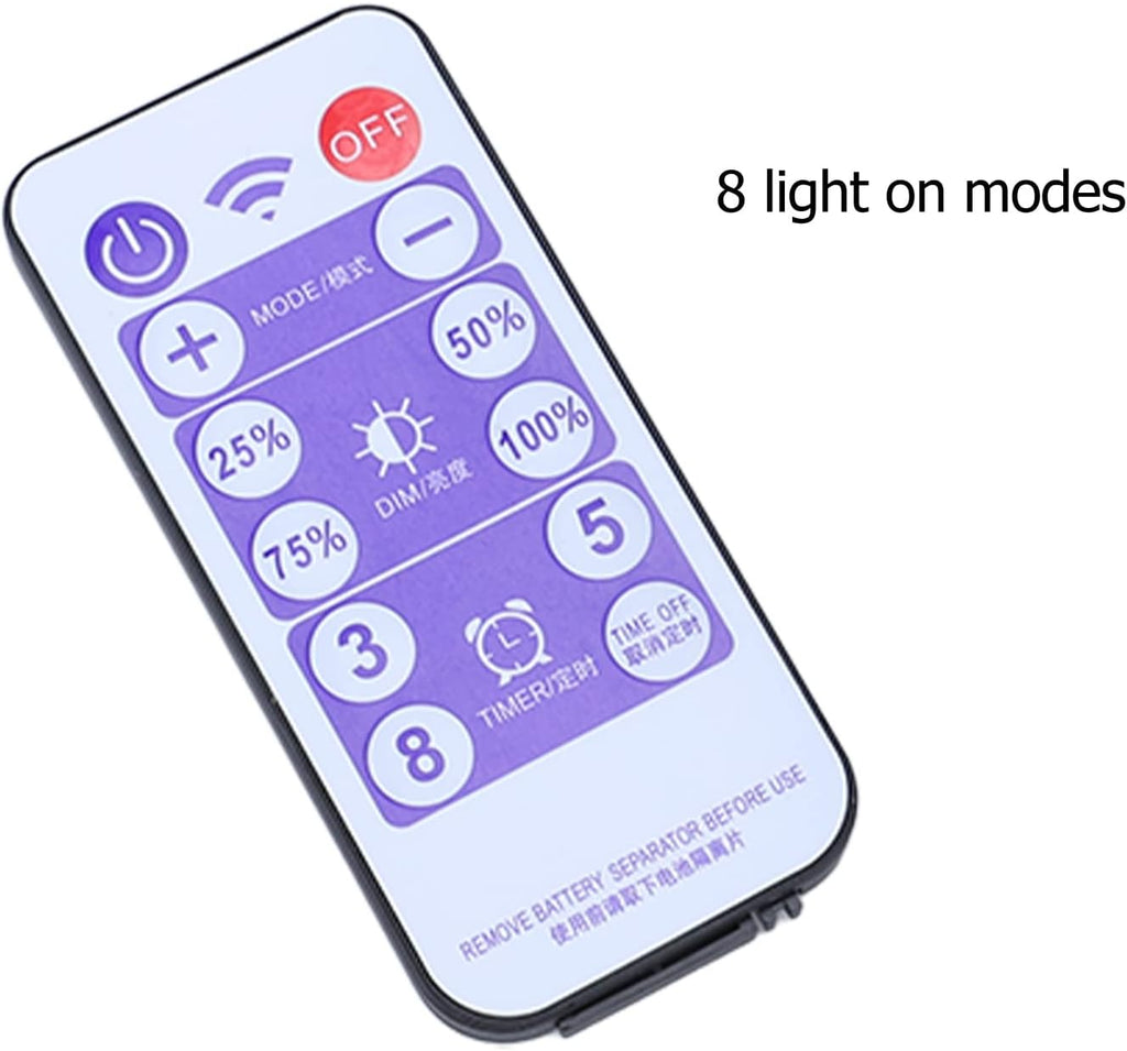 CHICIRIS Solar Battery Box for LED String Lights, Outdoor Lights Control Panel with DC Charging 8 Remote Modes Pack Powered Lithium Lamp with Remote (Output Boost 24V)