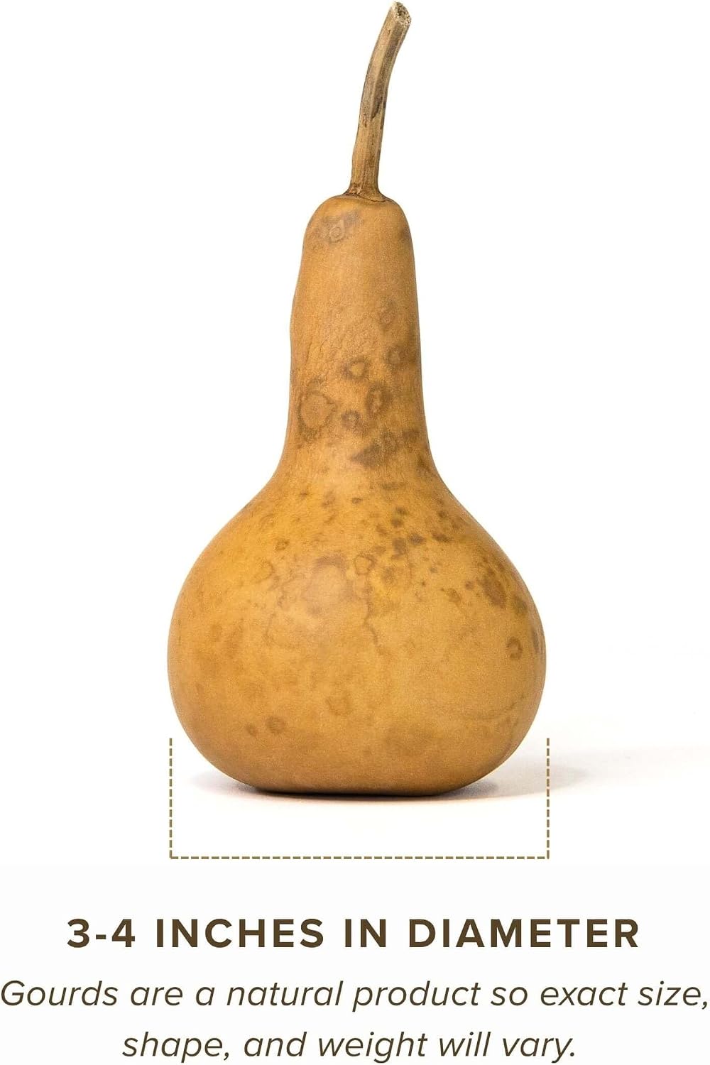 Box of 5 Dried Martin Gourds - 3" Diameter, Ready for Crafting or Decorating