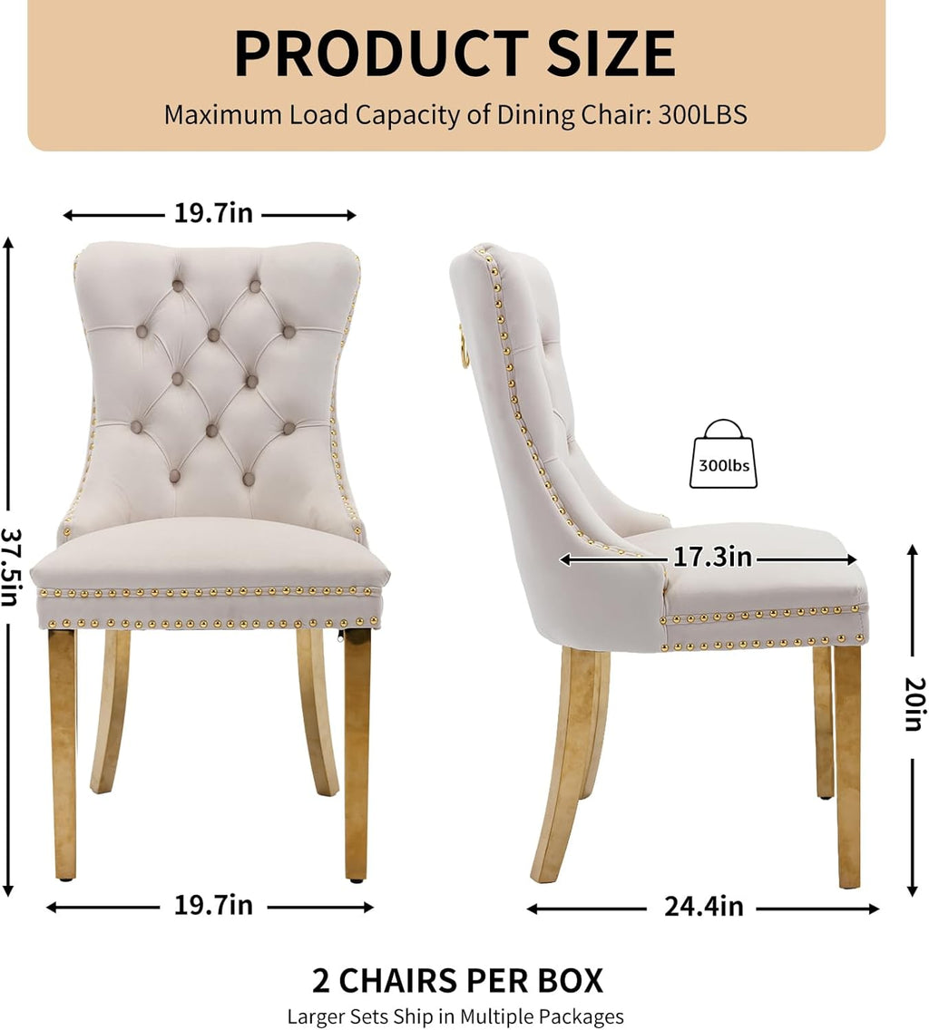 Velvet Dining Chairs Set of 6, Tufted Upholstered High Wingback Chairs with Nailhead Trim & Pull Ring, Golden Stainless Steel Legs for Dining Room, Sillas de Comedor, Beige