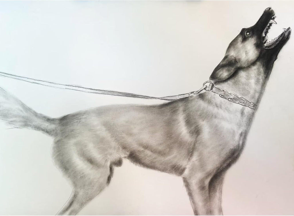 Custom Pet Portrait 100% Hand-Drawn charcoal Sketch from Photo,Pencil Drawing,Border cogg Pastel Personalized Dog or Cat Drawing,Unique Gift for Pet Lovers (8X10in Sketch 1)