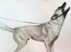 Custom Pet Portrait 100% Hand-Drawn charcoal Sketch from Photo,Pencil Drawing,Border cogg Pastel Personalized Dog or Cat Drawing,Unique Gift for Pet Lovers (8X10in Sketch 1)