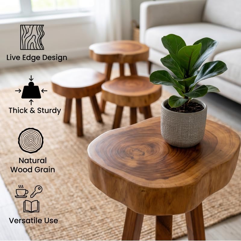 Live Edge Solid Wood Stool – Handcrafted Natural Wood Side Table – Rustic Plant Stand & Accent Stool – Thick Wood Slab End Table for Living Room & Bedroom