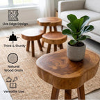 Live Edge Solid Wood Stool – Handcrafted Natural Wood Side Table – Rustic Plant Stand & Accent Stool – Thick Wood Slab End Table for Living Room & Bedroom