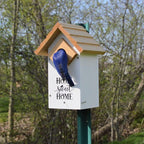 Wild Wings WWLH3-DECO Farmhouse Bluebird House, White