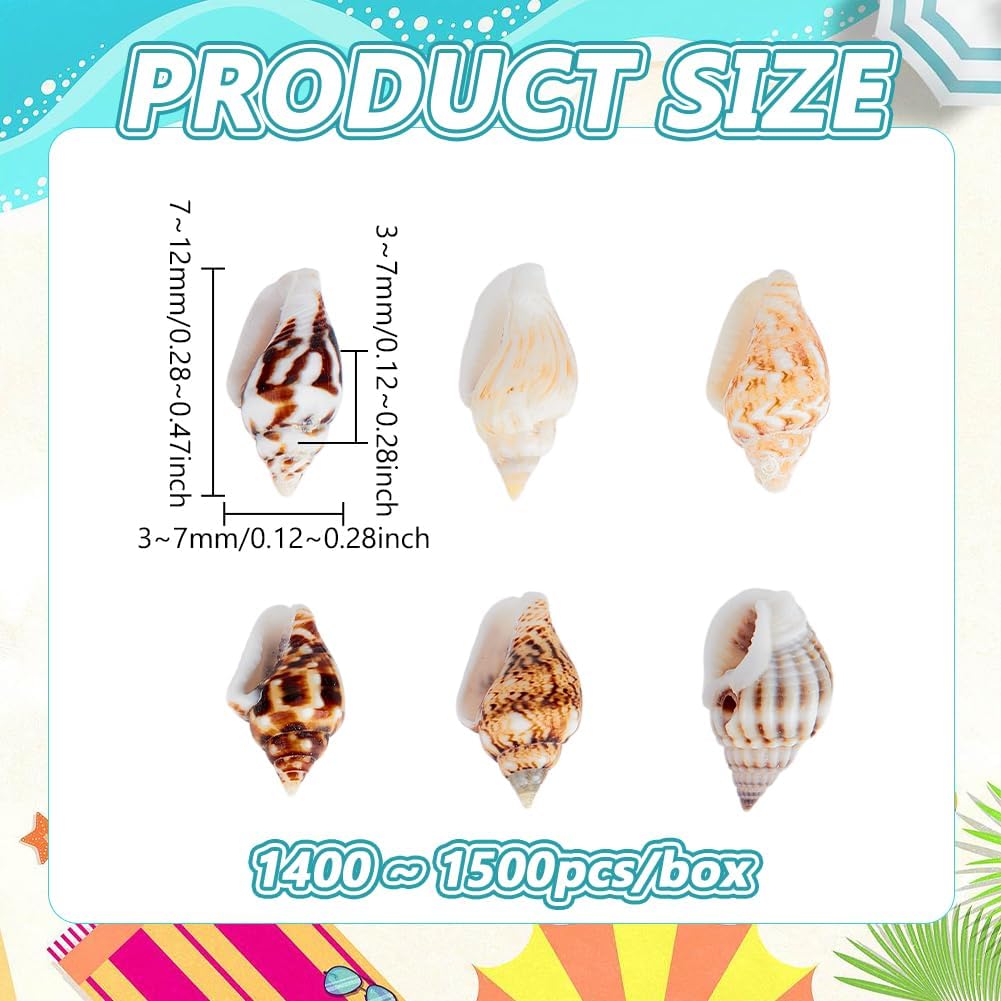 PH PandaHall 1400-1500pcs Tiny Sea Shells 7-12mm Tiny Crushed Shells Miniature Shell NO Hole Seashells Ocean Spiral Seashells for Resin Crafting Candle Home Party Wedding Fish Tank Vase Filler
