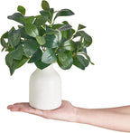 Dahey 10 Inch Fake Plants in Small White Ceramic Vase Realistic Artificial Faux Plants Indoor Modern Farmhouse Table Centerpieces for Bathroom Kitchen Shelf Living Room Home Greenery Decor