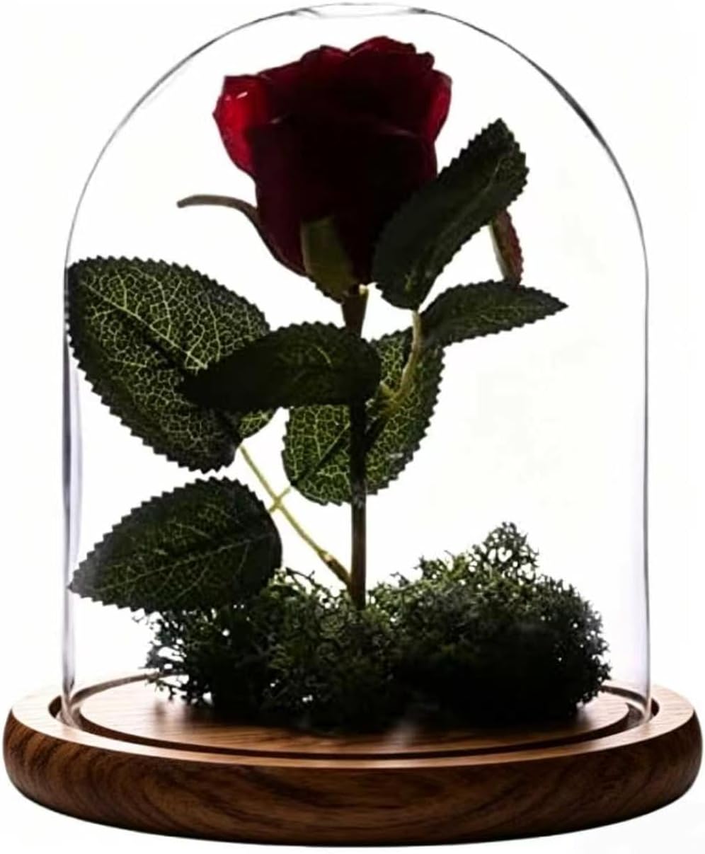 Dome with Base Glass Cloche Glass Cloche Bell Jar Display Dome with Wooden Base 6" x 7" (6 * 7)(1 Pack) (Burnt Wood)
