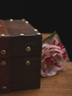Gbrand 8.3" Wood and Leather The Runic Viking Compass Chest Box,Vegvisir Engraved Wooden Treasure Box with Velvet Lining,Vintage Tarot Box