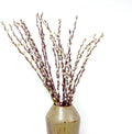60 Stems 100% Natural 17 Inches Preserved Pussy Willow Flowers Pussy Willow Branches for Vases White Pussywillows for Festival Easter Wedding Home Party Hotel Fireplace Decor