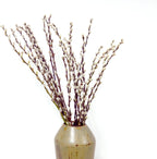 60 Stems 100% Natural 17 Inches Preserved Pussy Willow Flowers Pussy Willow Branches for Vases White Pussywillows for Festival Easter Wedding Home Party Hotel Fireplace Decor