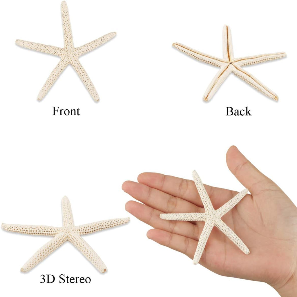 Jangostor 20 PCS Starfish, 2.5" to 4" Natural Seashells Starfish Star Fish Shells Decorations White Starfish Ornaments Perfect for Wedding Beach Theme Party Home Decorations, DIY Crafts, Fish Tank