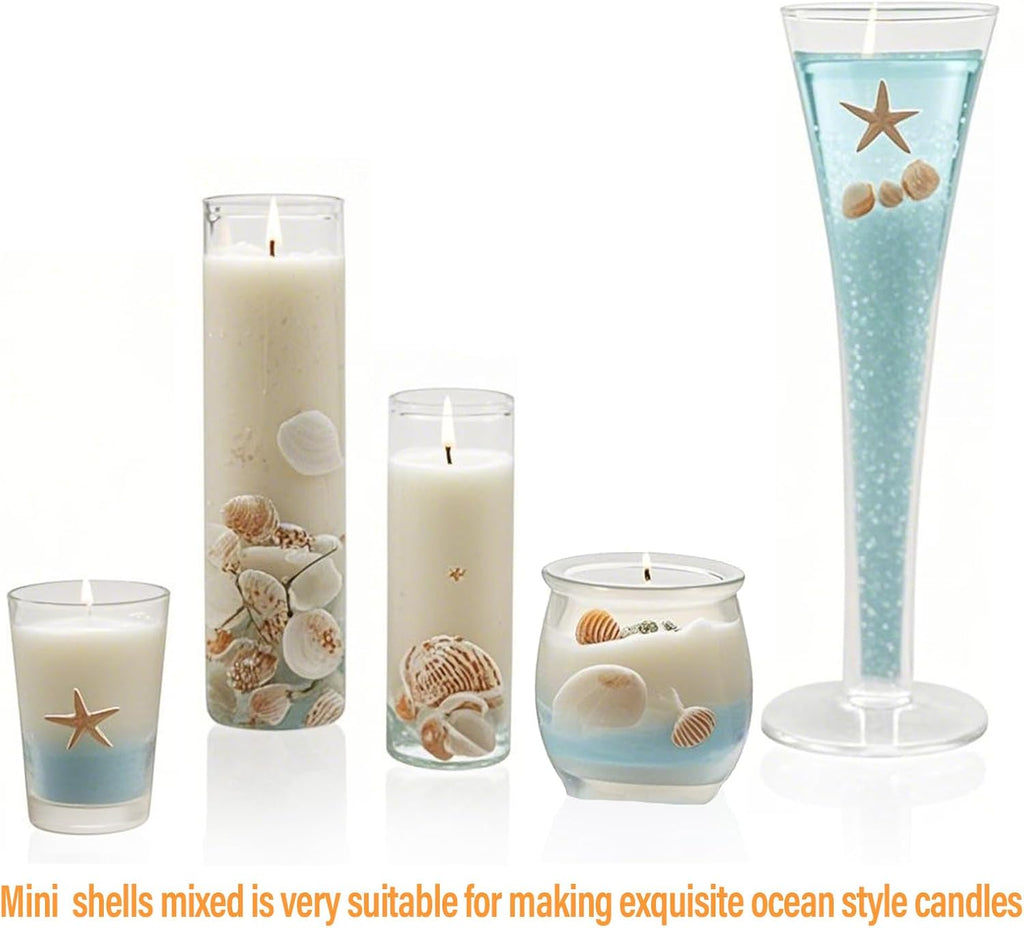 JQAQJU 1000 PCS Mini Sea Shells Small Starfish Mixed, 20 Kinds of Tiny Seashells Bulk for Crafting, Beach Natural Spiral Conch Shells for Crafts DIY Beach Theme Party Candle Decor Wedding Fish Tank