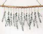 10 PCS Dried Eucalyptus Stems for Shower 15-16" Real Leaves Branches for Vase Filler, Home Bathroom Wedding Arrangement Decor, 100% Natural Fresh Greenery Hanging Preserved Eucalyptus Plant