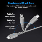 DS Lite Charger Kit Compatible with Nintendo DS Lite 100-240V Wall Plug Adapter with 4 Stylus Pen for Nintendo DS Lite