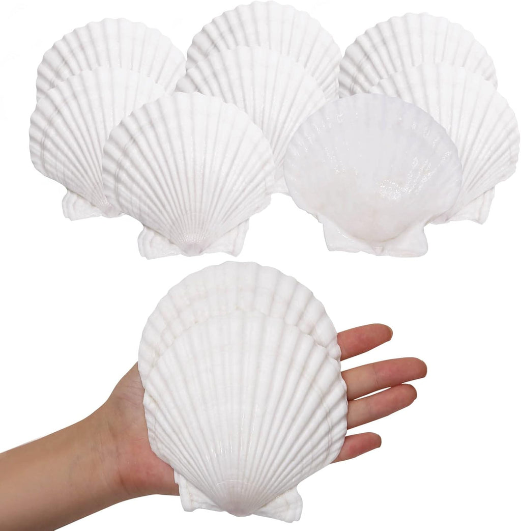 Giftvest 10PCS Sea Shells White Scallop Shells for Crafts Baking Cooking Serving Food, 4-5 inch Large Natural Seashells for DIY Crafts Seashell Beach Decorations for Home Decor