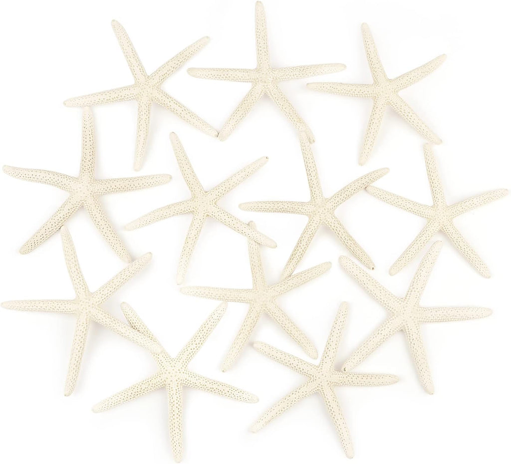 Jangostor 12 PCS Starfish 4-5 Inch Ocean Beach Starfish Natural Colorful Seashells Starfish Perfect for Wedding Decor Beach Theme Party, Home Decorations,DIY Crafts, Fish Tank