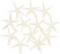 Jangostor 12 PCS Starfish 4-5 Inch Ocean Beach Starfish Natural Colorful Seashells Starfish Perfect for Wedding Decor Beach Theme Party, Home Decorations,DIY Crafts, Fish Tank