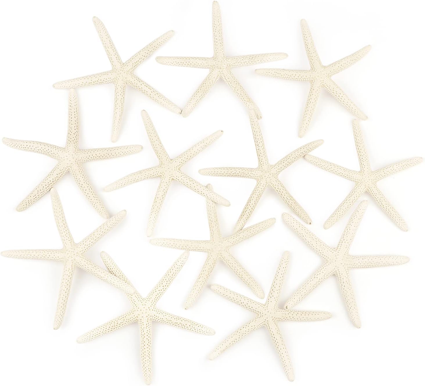 Jangostor 12 PCS Starfish 4-5 Inch Ocean Beach Starfish Natural Colorful Seashells Starfish Perfect for Wedding Decor Beach Theme Party, Home Decorations,DIY Crafts, Fish Tank