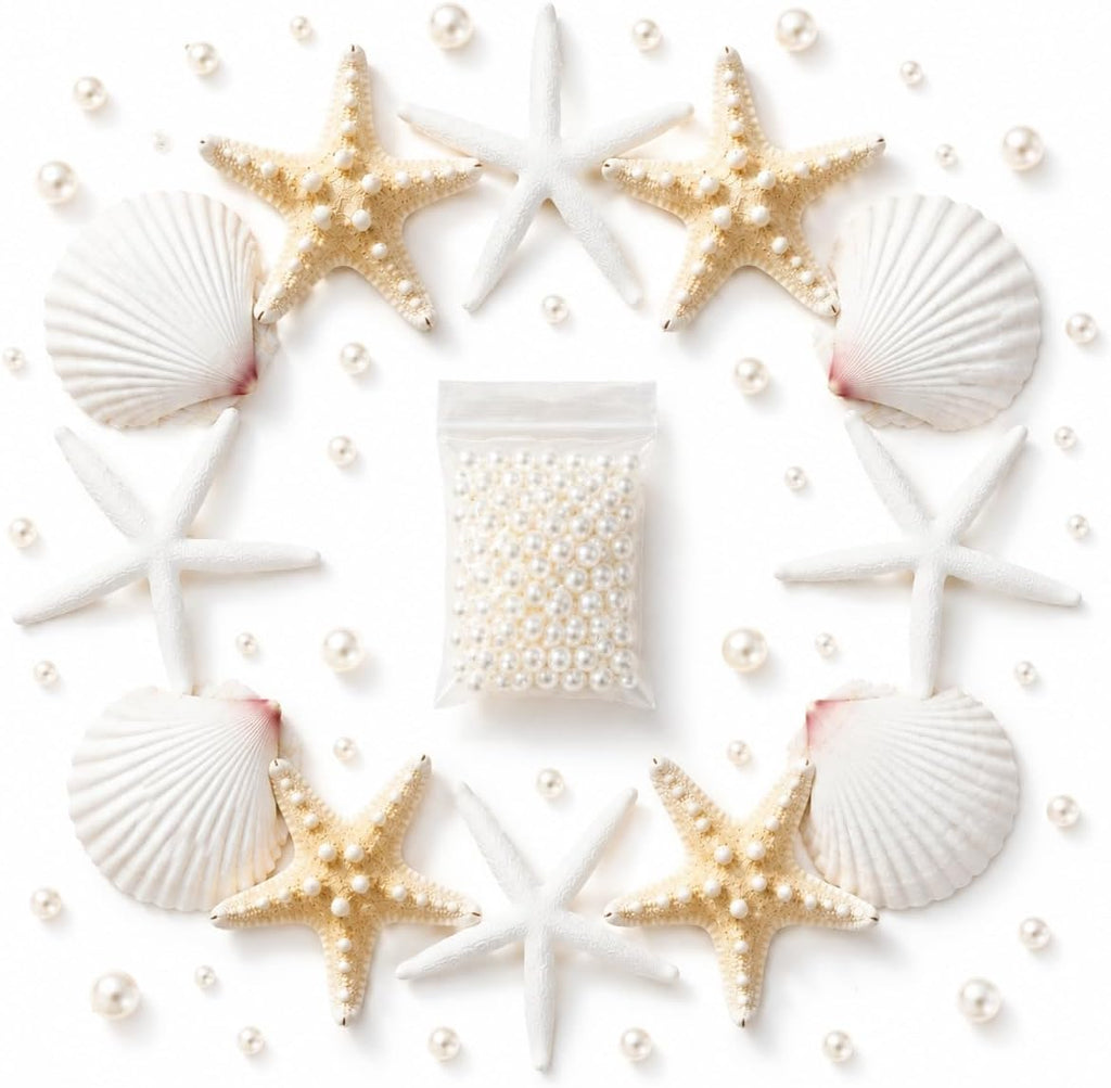 JSPYFITS 2.5-4 Inches Large Starfish and Scallop Shells for Crafts 12PCS, Natural Beach Sea Shells for Crafting, Baking Shells Perfect for White Christmas Decor Beach Party Wedding DIY Crafts