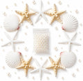 JSPYFITS 2.5-4 Inches Large Starfish and Scallop Shells for Crafts 12PCS, Natural Beach Sea Shells for Crafting, Baking Shells Perfect for White Christmas Decor Beach Party Wedding DIY Crafts