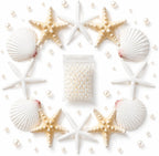 JSPYFITS 2.5-4 Inches Large Starfish and Scallop Shells for Crafts 12PCS, Natural Beach Sea Shells for Crafting, Baking Shells Perfect for White Christmas Decor Beach Party Wedding DIY Crafts