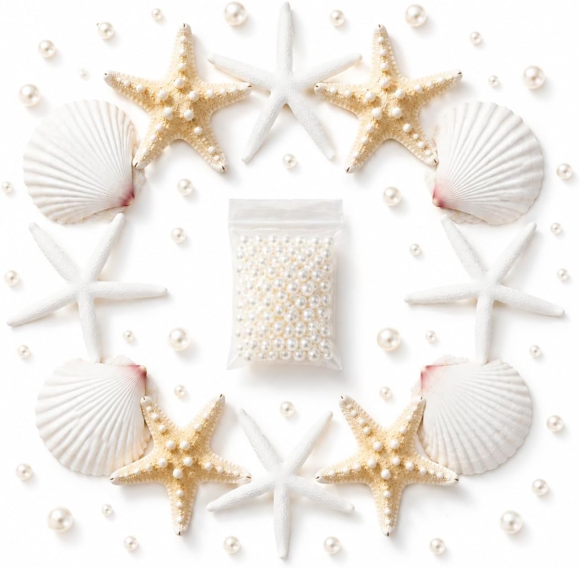 JSPYFITS 2.5-4 Inches Large Starfish and Scallop Shells for Crafts 12PCS, Natural Beach Sea Shells for Crafting, Baking Shells Perfect for White Christmas Decor Beach Party Wedding DIY Crafts