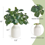 Dahey 10 Inch Fake Plants in Small White Ceramic Vase Realistic Artificial Faux Plants Indoor Modern Farmhouse Table Centerpieces for Bathroom Kitchen Shelf Living Room Home Greenery Decor