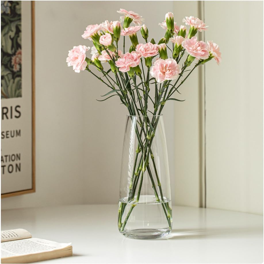 FANTESTICRYAN Modern Glass Vase Crystal Clear Glass Vase for Home Office Decor (Crystal Clear)