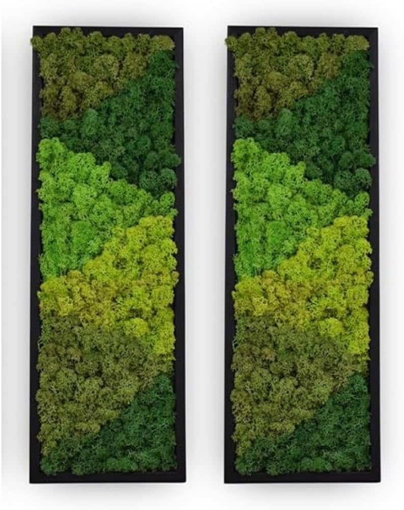 yersiz Large Moss Pattern Wall Art, Real Moss Wall Art for Living Room & Bedroom, Set of 2 Vintage Wall Panels for Interior Wall Decor, Bathroom & Home Decor, Eco-Friendly Natural Green Wall Decor
