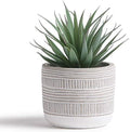 Kurrajong Farmhouse Artificial Plant | 8" Fake Plant for Desk Decor | Artificial Succulent in Pot | Fake Succulent | Faux Plant Indoor | Artificial Greenery for Shelf Decor