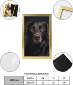 TecLikcL Personalized Modern Prints for Home Decorations, Canvas Black Lab Dog Art Pictures for Hanging Wall, Decor Frame Painting Golden for Living Room, Bedroom, Bathroom 08x12inch(20x30cm)