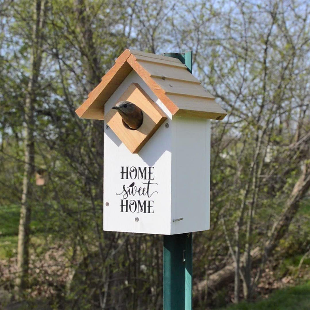 Wild Wings WWLH3-DECO Farmhouse Bluebird House, White