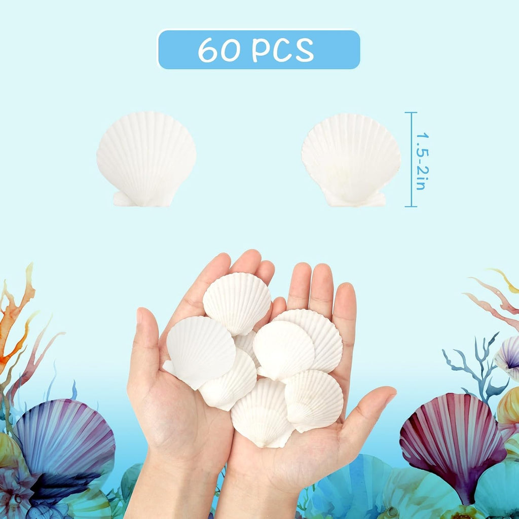 60 PCS Scallop Shells Natural Seashell, 1.5" to 2" White Scallop Shells Small Seashells for Crafts Wedding Decor Beach Theme Party, Fish Tank and Vase Filler