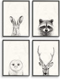 Stupell Industries Woodland Animals Portrait Grey Drawing Design