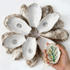 30Pcs 4"-5" Concave Oyster Shells for Crafts Natural Large Oyster Shells for DIY Crafting Christmas Ornaments Decoupage Beach Decor Arts and Bulk Clam Shells Sea Shells for Crafts