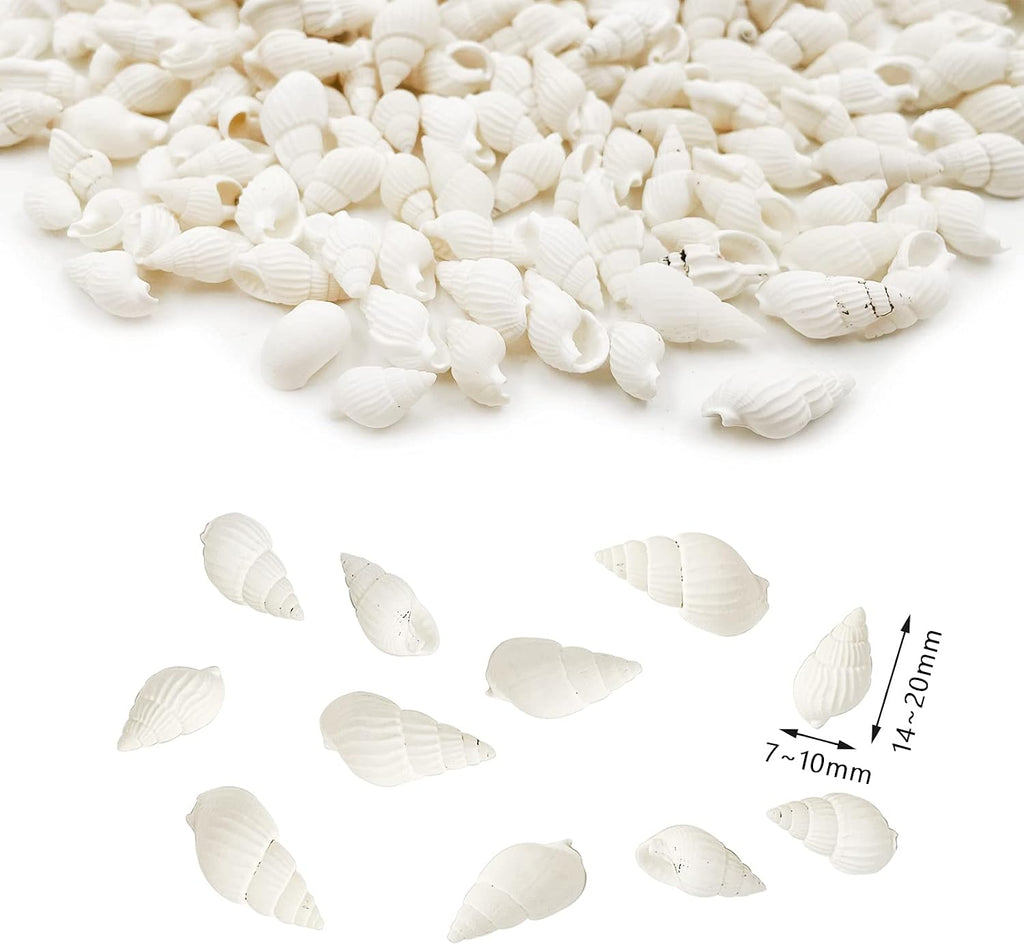 White Clam Cay Cay Sea Shells for Home Decorations, Party Wedding, DIY Crafts (About 350pcs Spiral Shape)