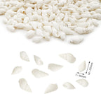 White Clam Cay Cay Sea Shells for Home Decorations, Party Wedding, DIY Crafts (About 350pcs Spiral Shape)