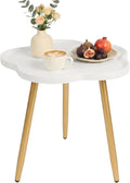 danpinera Round Side Table, Metal Legged Accent Table with Wooden Tray, Flower Tray Small Round End Table for Living Room, Bedroom, Nursery White & Gold