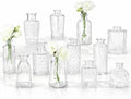 RUCKAE Glass Bud Vases Mini Flower Vase Small Vintage Vases for Centerpiece Table Wedding Decorations Home Decor Party(Transparent 12 Pack)
