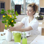 Artificial Lemons Branches 3pcs 27.5inch Lemon Stems for Vases Realistic Fruit Bouquet Faux Lemon Tree Branch Fake Lemons for Kitchen Home Wedding Party Spring Summer Decorations DIY Floral Crafts
