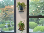 Modern Wall Mounted Plant Shelf, Blue Metal Circular Floating Shelf, Small Hanging Planter Holder for Indoor Plants, Succulents, Herbs, Living Room Bedroom Bathroom Decor