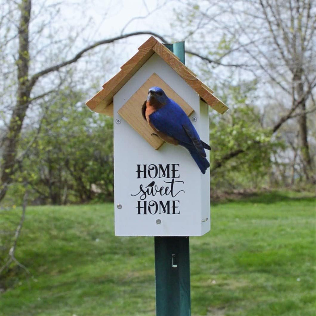 Wild Wings WWLH3-DECO Farmhouse Bluebird House, White