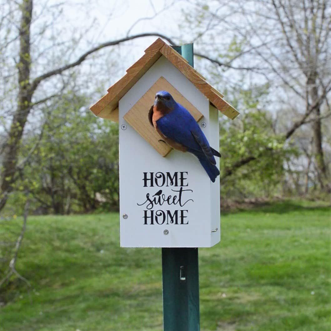 Wild Wings WWLH3-DECO Farmhouse Bluebird House, White