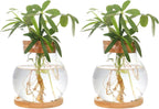 Plant Propagation Station,Hydroponic Glass Container Vase Jars, with Wooden Saucer for Desks, Houses, Garden Decorations, Home Kitchen Decorations and Gifts for Plant Lovers (2)