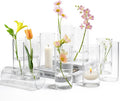12 Cylinder Glass Vases 7.8" H, Tall Clear Hurricane Flower Vase Bulk for Weddings, Floating Candles, Table Decor, Events, Home Decoration