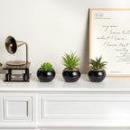 MyGift Mini Assorted Artificial Succulents in Round Black Ceramic Pots, Mixed Realistic Indoor House Plants, Set of 3