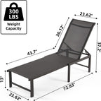 Aluminum Chaise Lounge Chair Outdoor Set of 2, Foldable & Assembly Free Outdoor Lounge Chairs with 5-Position Recliner, Pool Lounge Chairs for Outside Poolside Beach Lawn (Dark Grey)