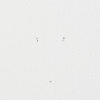 Muji 44520673 Wall Furniture Box, Oak Wood, Light Gray, Width 17.3 x Depth 6.1 x Height 7.5 inches (44 x 15.5 x 19 cm)