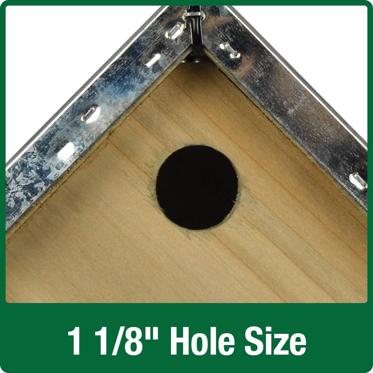 Wild Wings WWGH1-DECO Galvanized Weathered Cedar Wren House