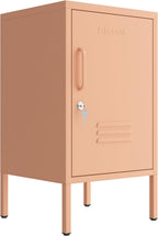 Single door End Table 2 Tier Narrow Side Table with Metal Frame Multifunctional Home Table Easy to Assemble Adjustable partitions Single Door Coffee Table Pink Size: 27.55”H X 13.78”W X 14.96”D